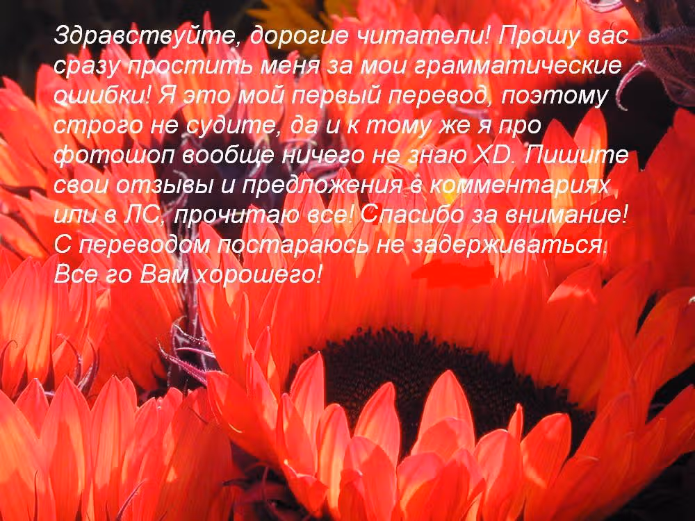 Спящий мудрец — Том 2 · Глава 6, страница 2