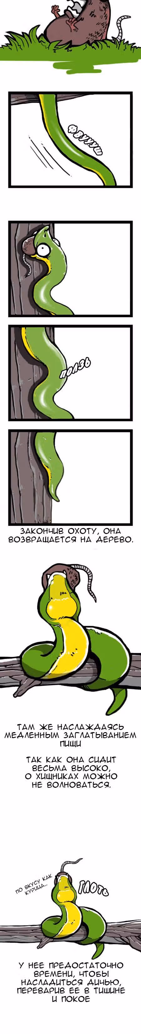Земля, Люди, Животные — Том 1 · Глава 4, страница 3