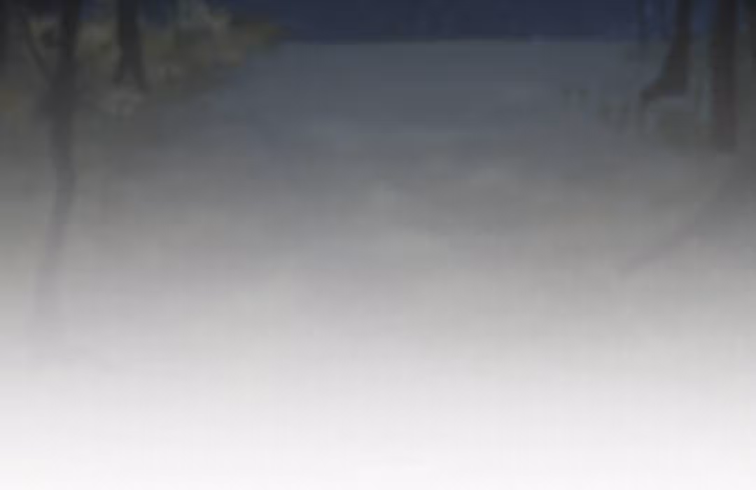 Из света во тьму — Том 1 · Глава 2, страница 90