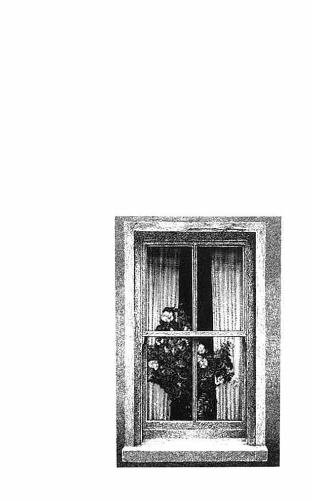 Роза — Том 4 · Глава 15, страница 3