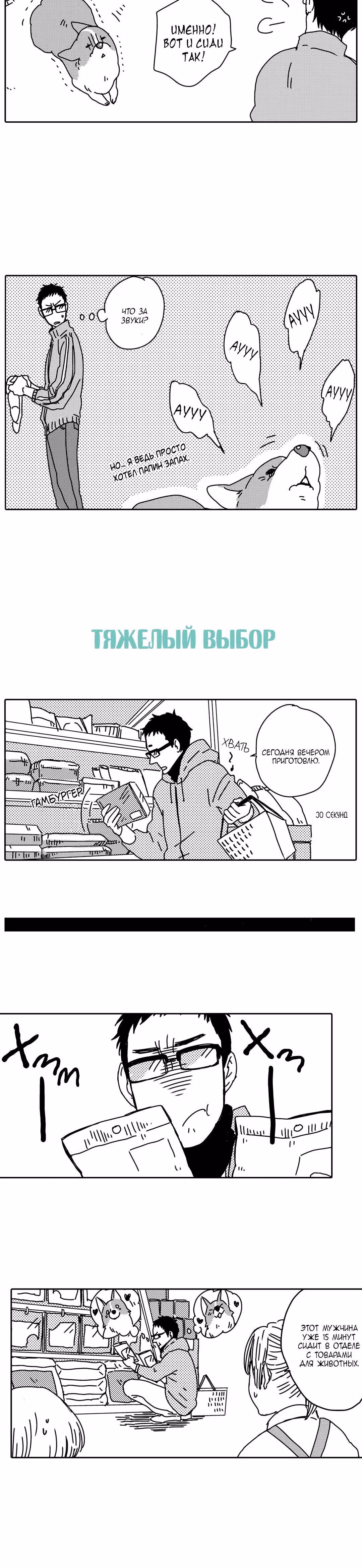 Поиграй со мной. История моего вельш-корги — Том 1 · Глава 4, страница 6
