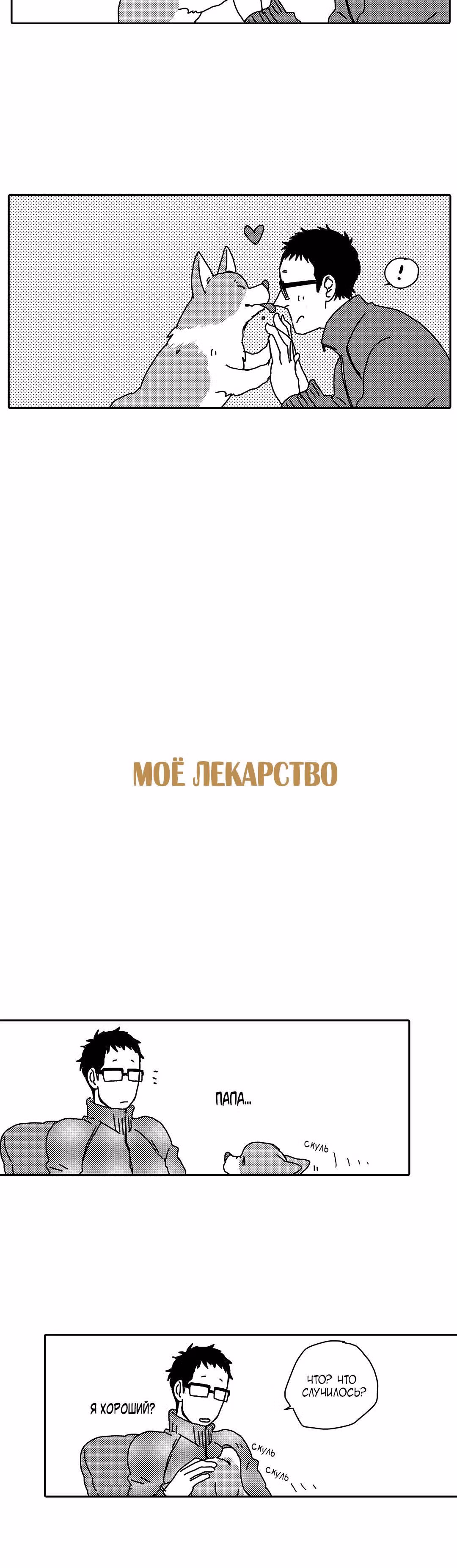 Поиграй со мной. История моего вельш-корги — Том 1 · Глава 5, страница 18