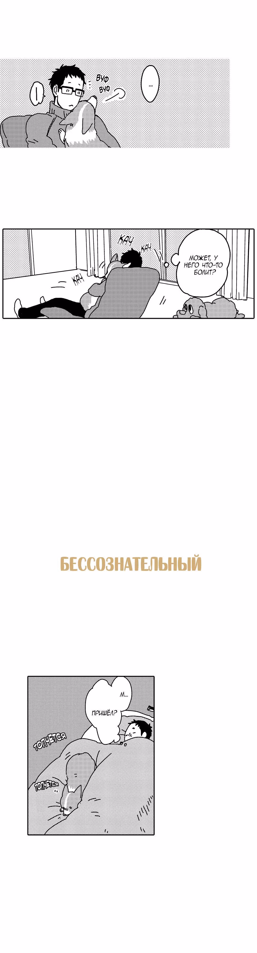 Поиграй со мной. История моего вельш-корги — Том 1 · Глава 5, страница 19