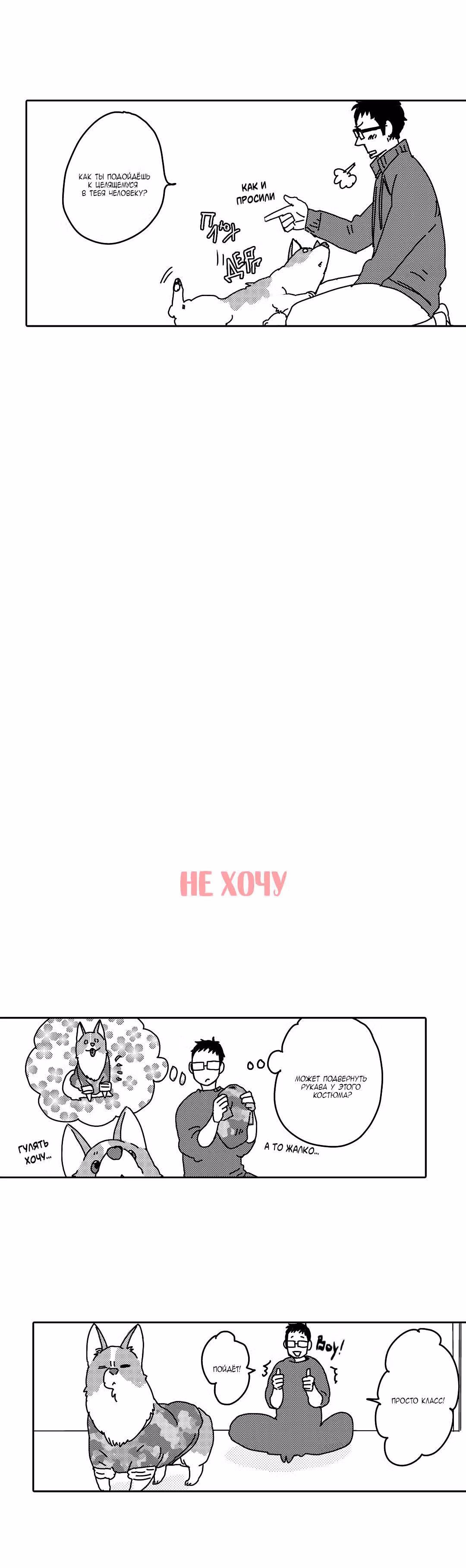 Поиграй со мной. История моего вельш-корги — Том 1 · Глава 6, страница 3