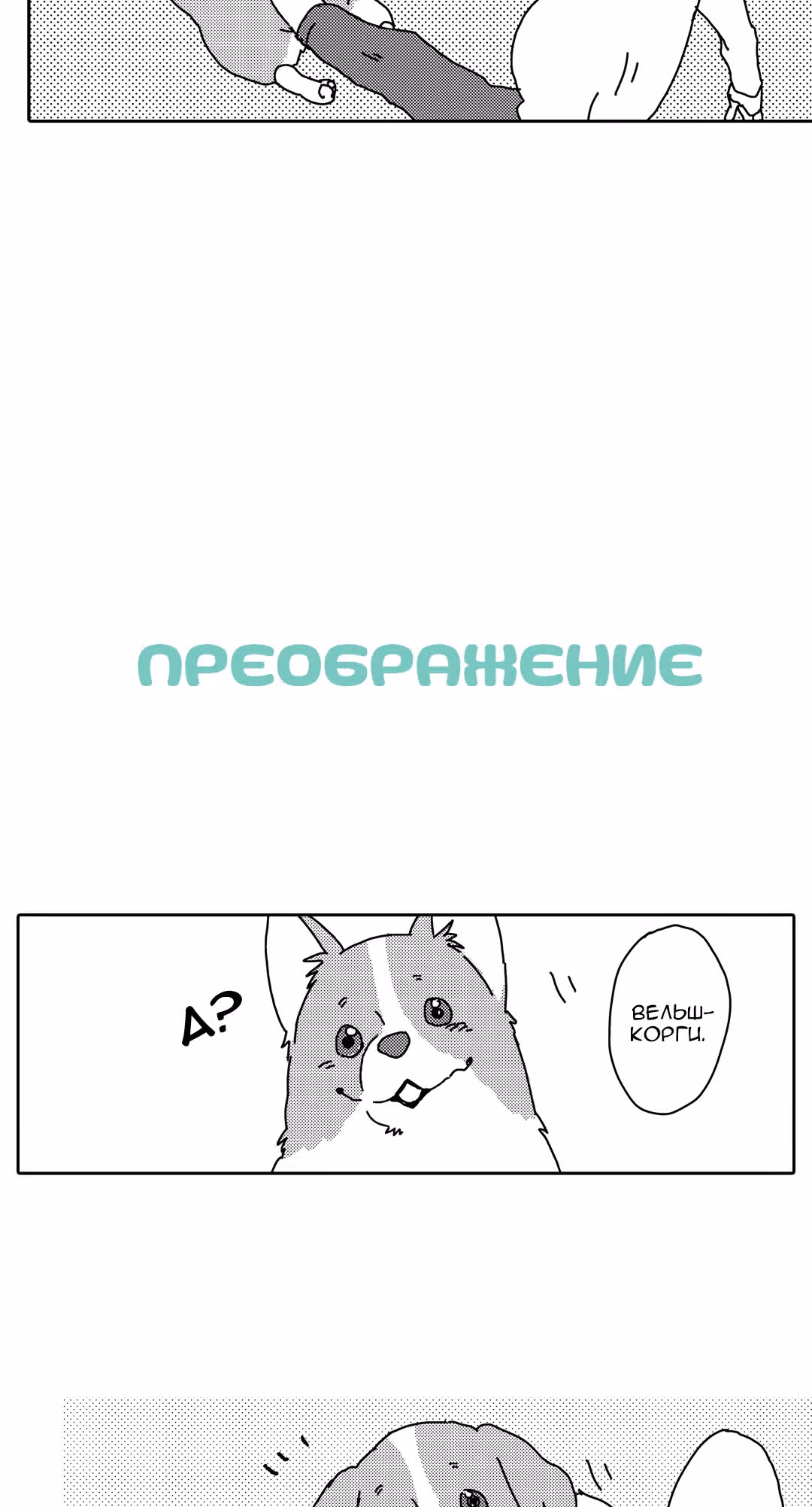 Поиграй со мной. История моего вельш-корги — Том 1 · Глава 8, страница 6