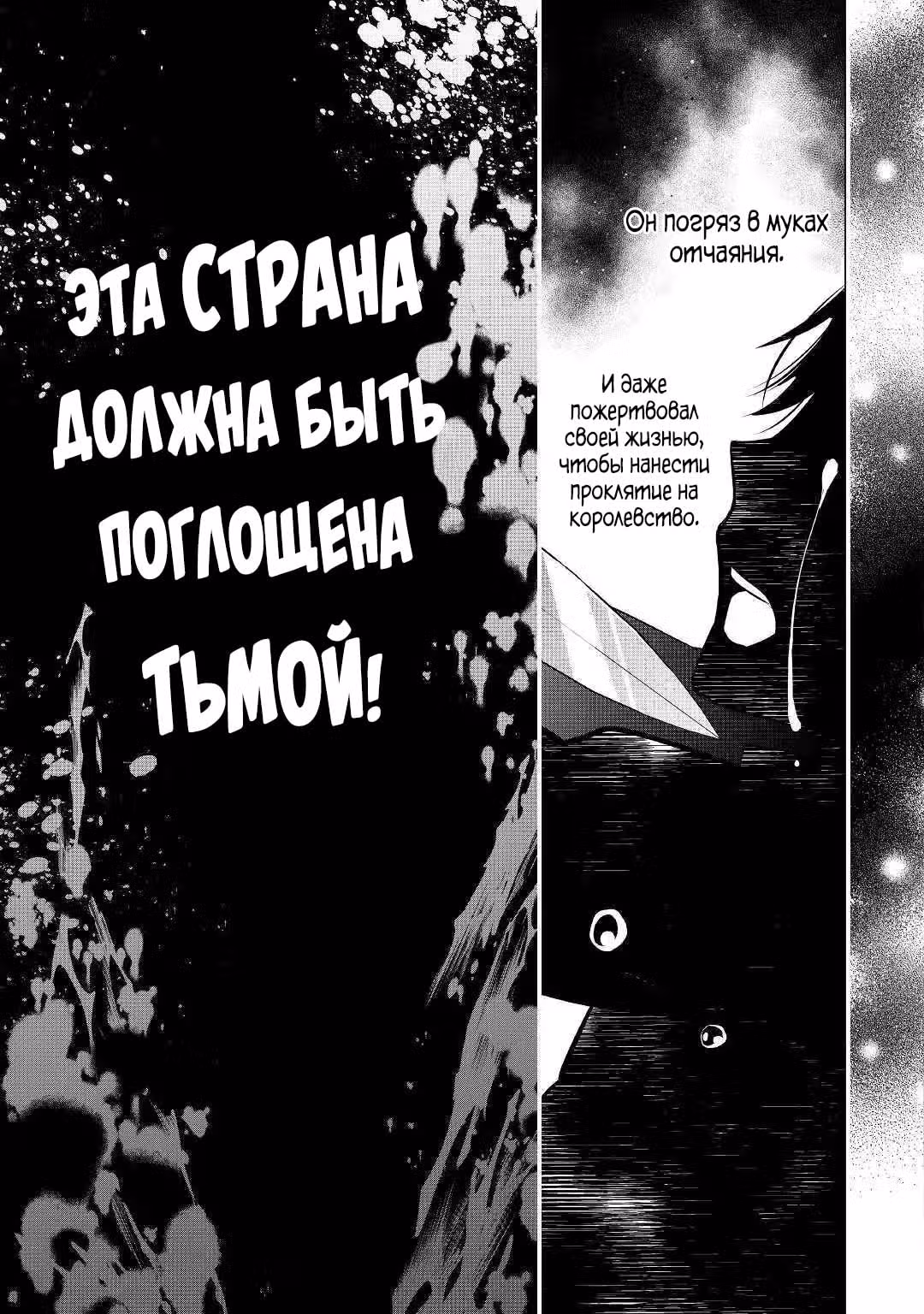 Я не злодейка!!! То, что я могу контролировать тьму, не значит, что я плохая! — Том 1 · Глава 2, страница 15