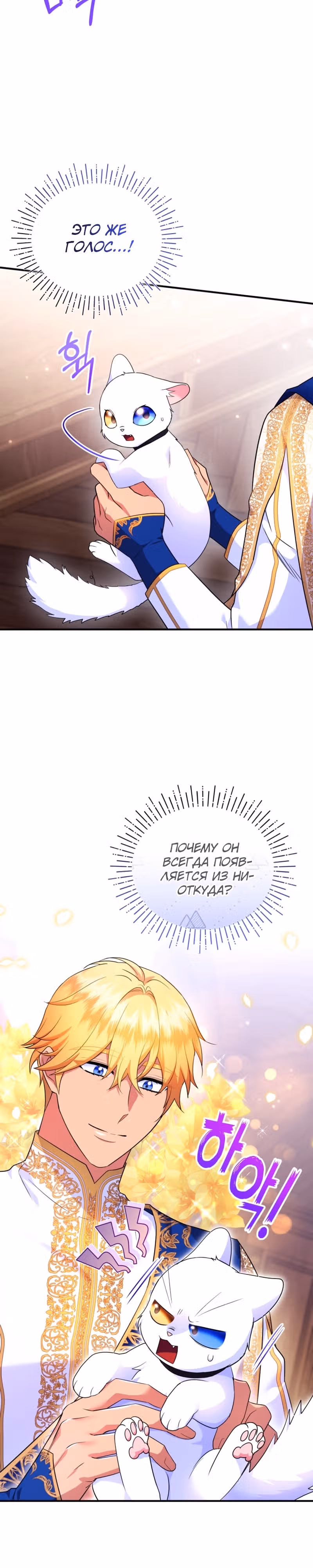 Я стала любимой кошкой султана — Том 1 · Глава 24, страница 14