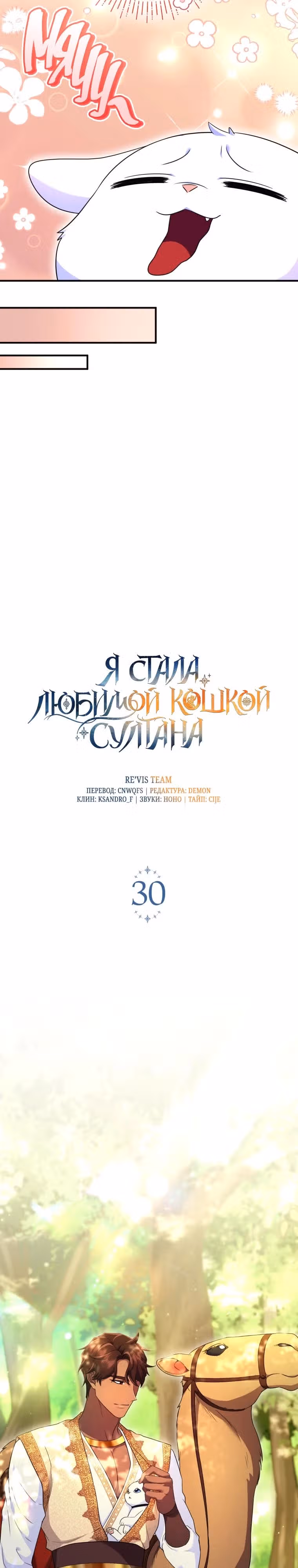 Я стала любимой кошкой султана — Том 1 · Глава 30, страница 11
