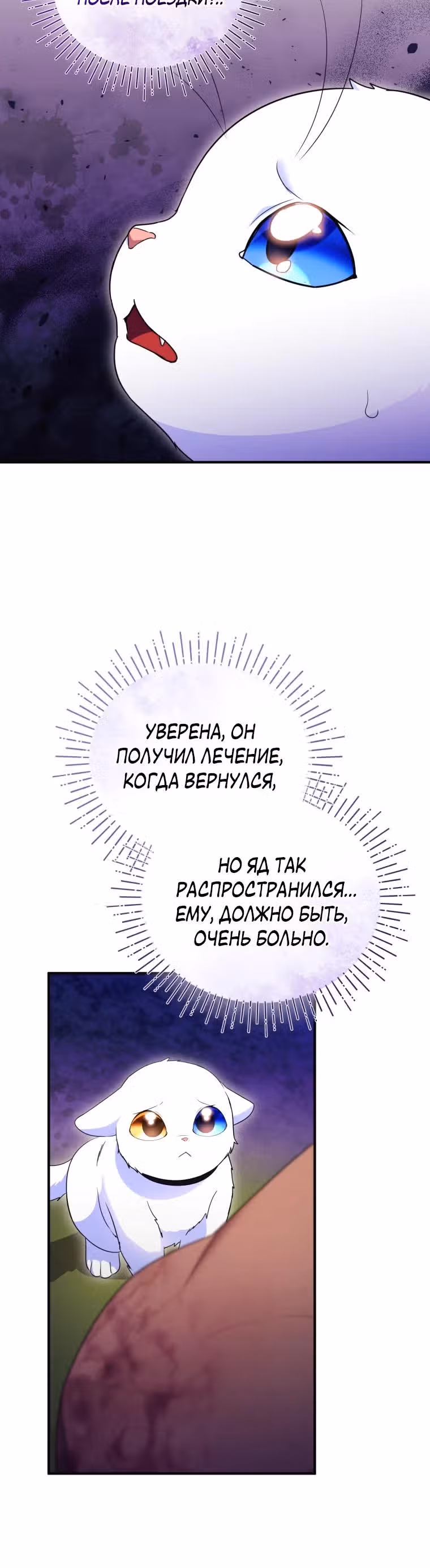 Я стала любимой кошкой султана — Том 1 · Глава 30, страница 20