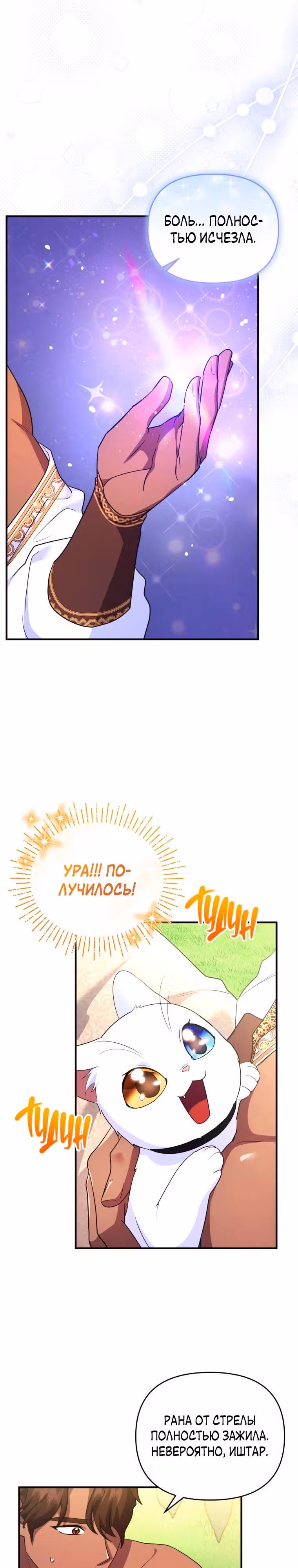 Я стала любимой кошкой султана — Том 1 · Глава 30, страница 33