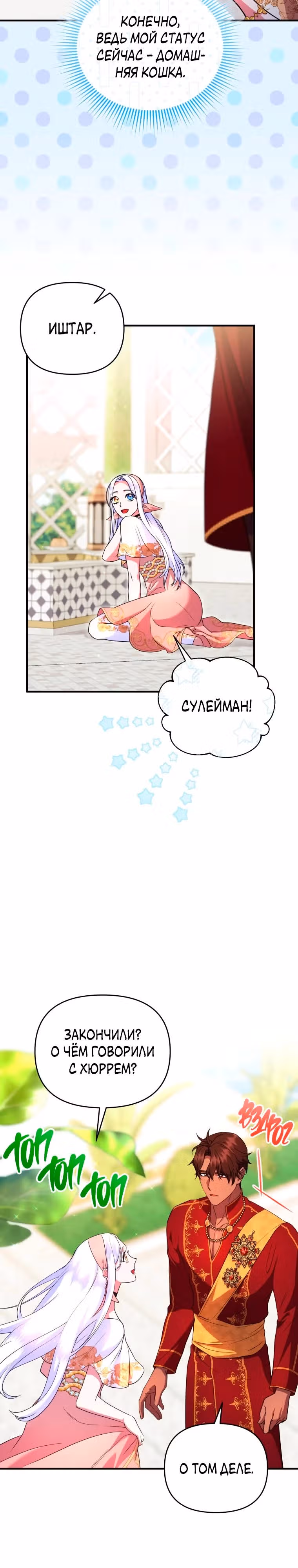 Я стала любимой кошкой султана — Том 1 · Глава 33, страница 24