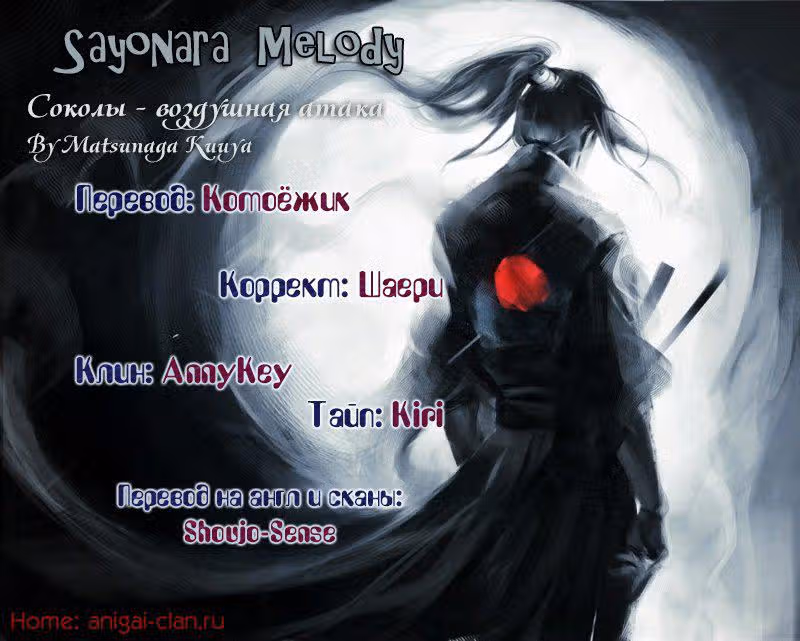 Соколы - воздушная атака — Том 2 · Глава 5, страница 30