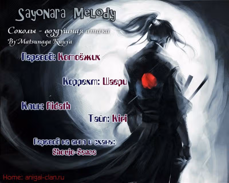 Соколы - воздушная атака — Том 2 · Глава 6, страница 29
