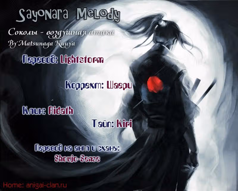 Соколы - воздушная атака — Том 2 · Глава 7, страница 37