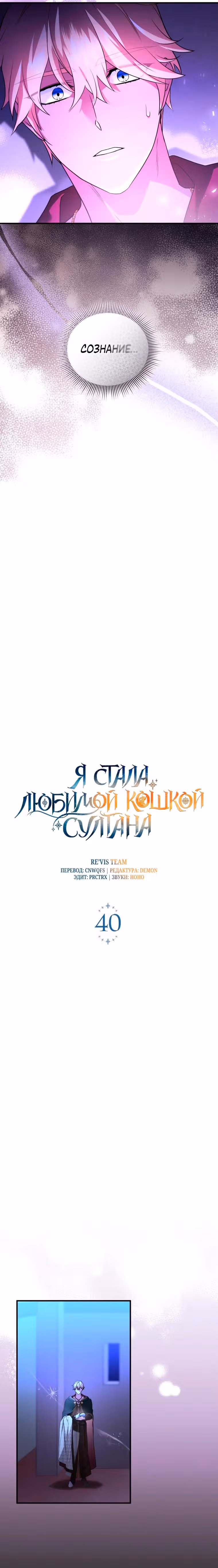 Я стала любимой кошкой султана — Том 1 · Глава 40, страница 6