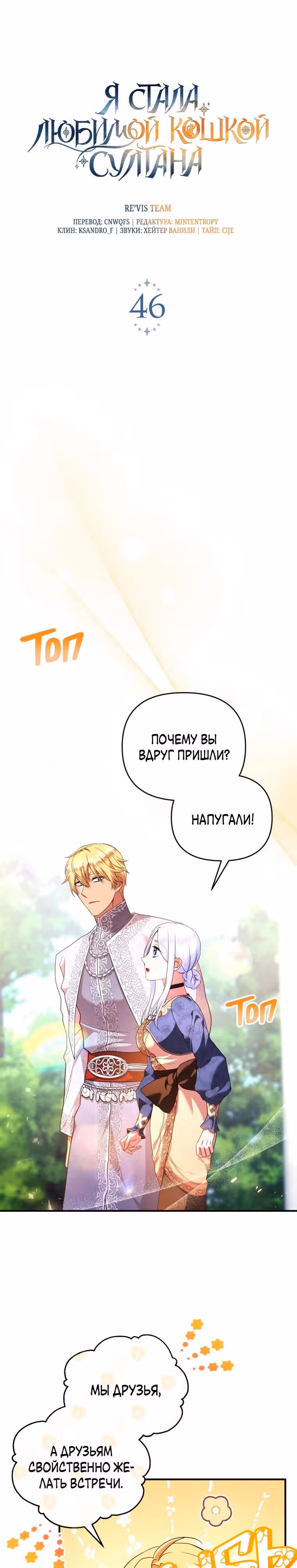 Я стала любимой кошкой султана — Том 1 · Глава 46, страница 8