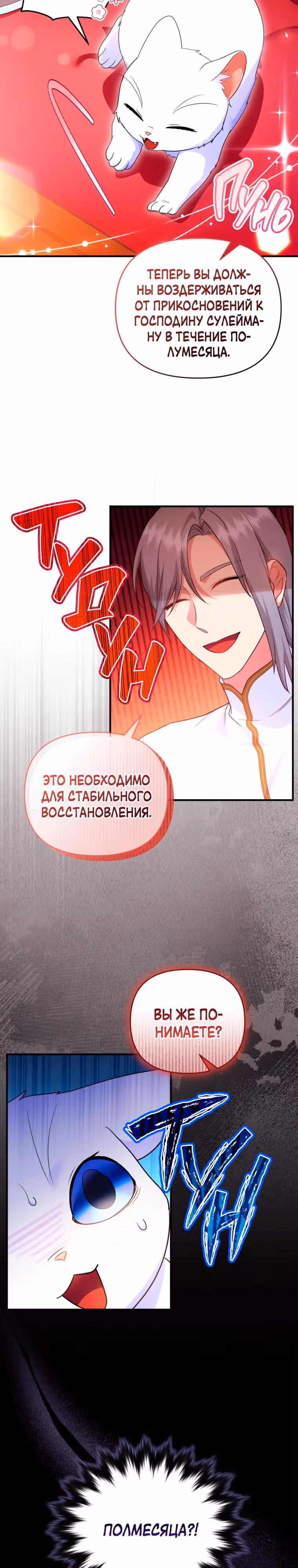 Я стала любимой кошкой султана — Том 1 · Глава 54, страница 27