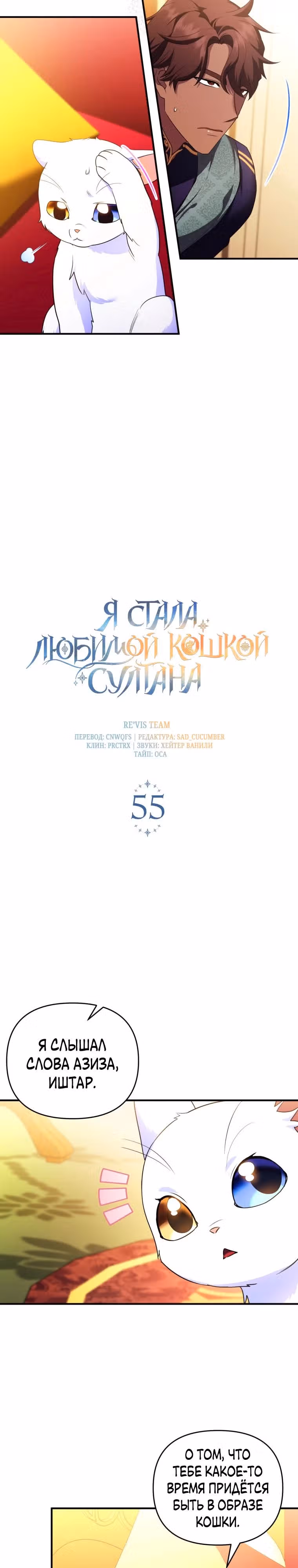 Я стала любимой кошкой султана — Том 1 · Глава 55, страница 2