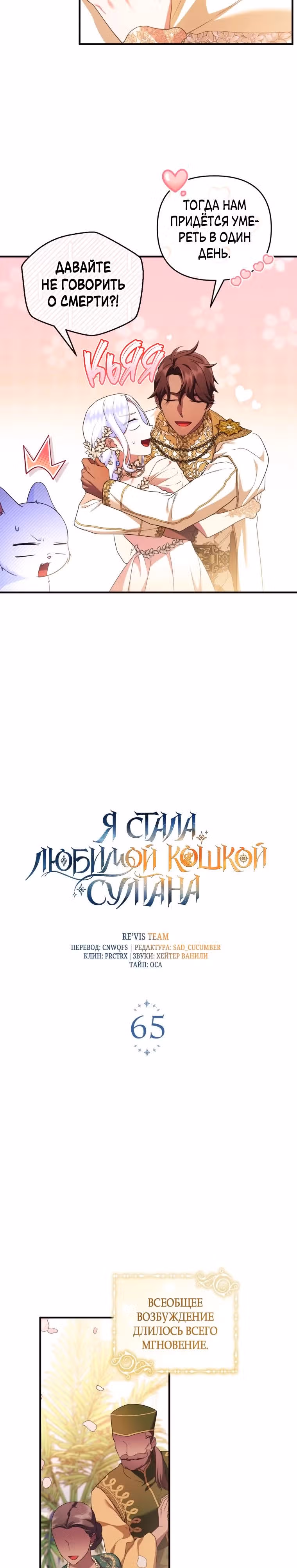 Я стала любимой кошкой султана — Том 1 · Глава 65, страница 10