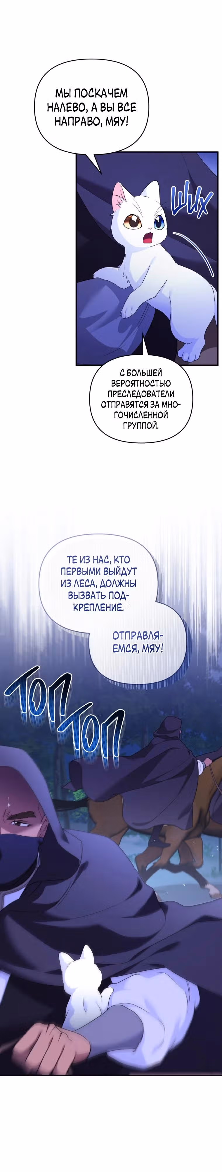 Я стала любимой кошкой султана — Том 1 · Глава 70, страница 17