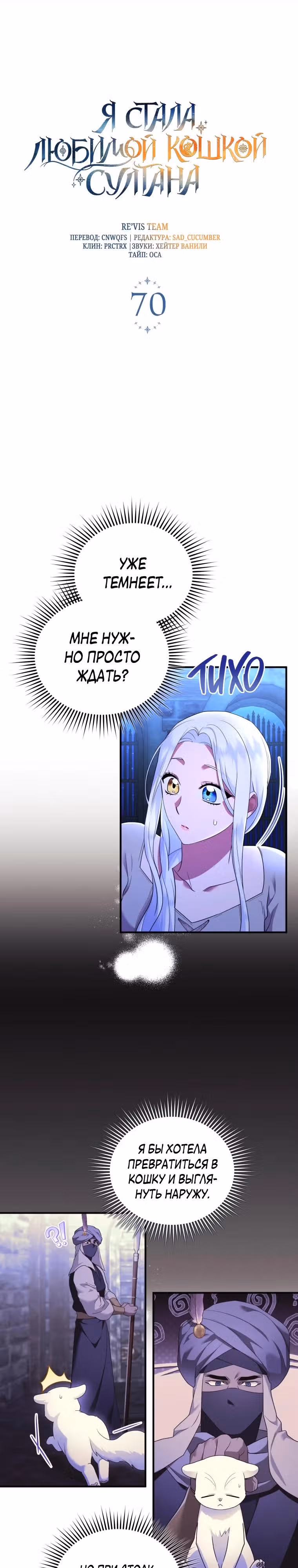 Я стала любимой кошкой султана — Том 1 · Глава 70, страница 5