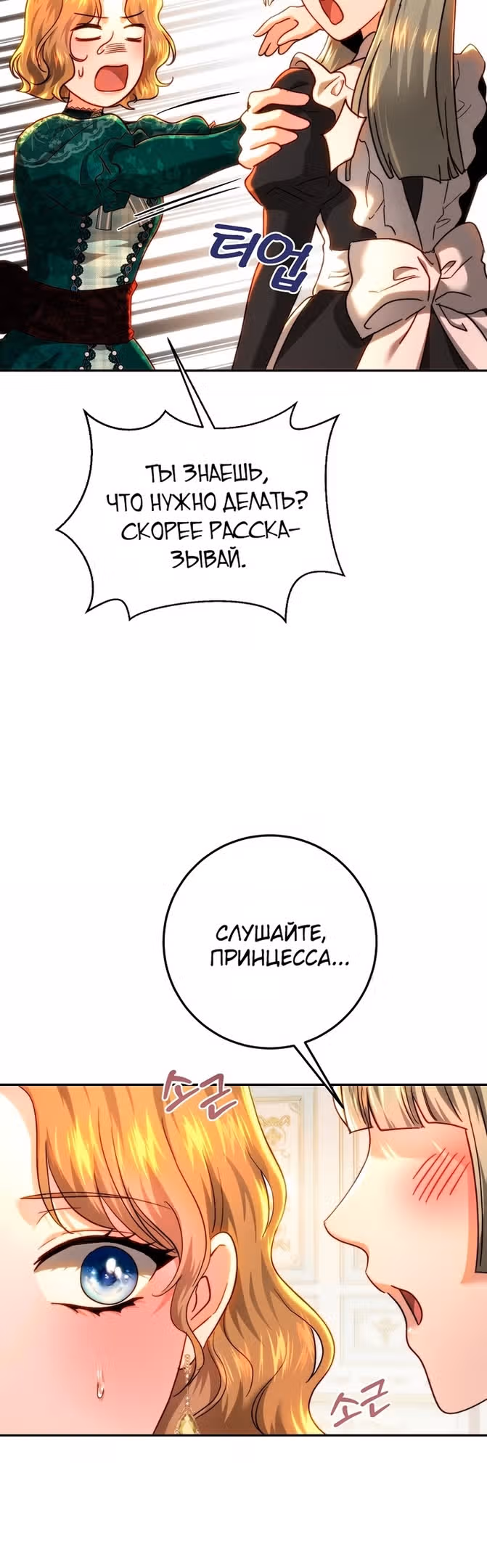 Принцесса, ставшая безумным цветком — Том 2 · Глава 75, страница 16