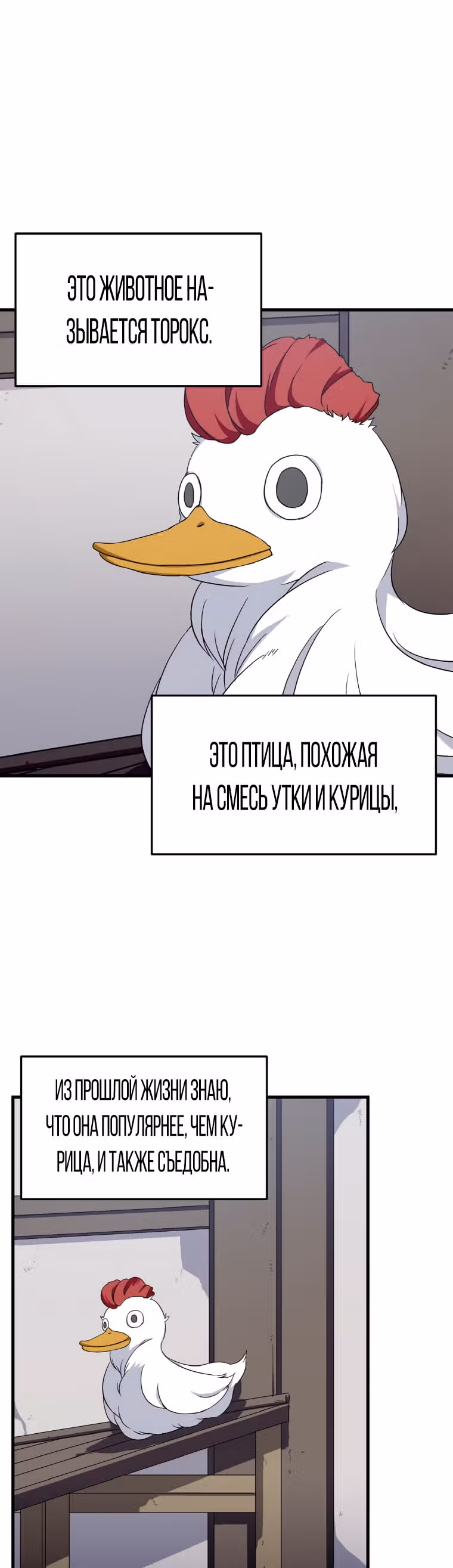 Повелитель Элементалей — Том 1 · Глава 6, страница 10