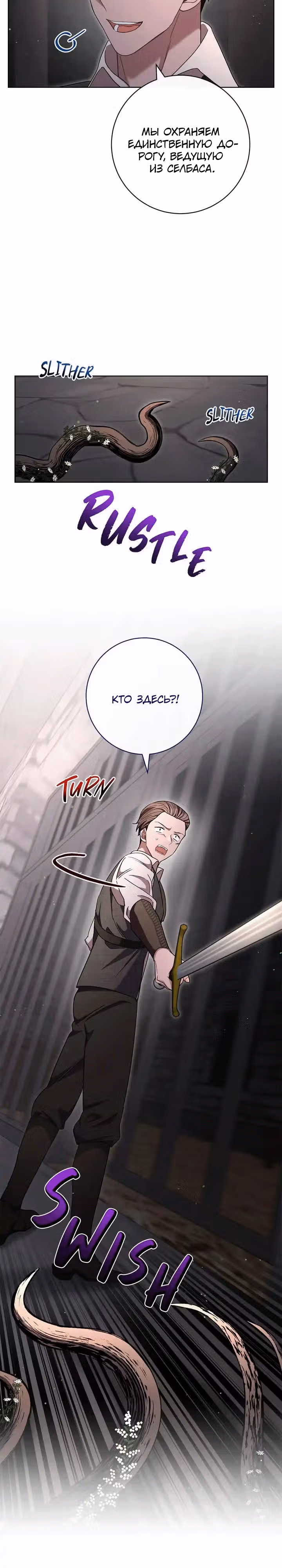 Пара дам — Том 2 · Глава 66, страница 14