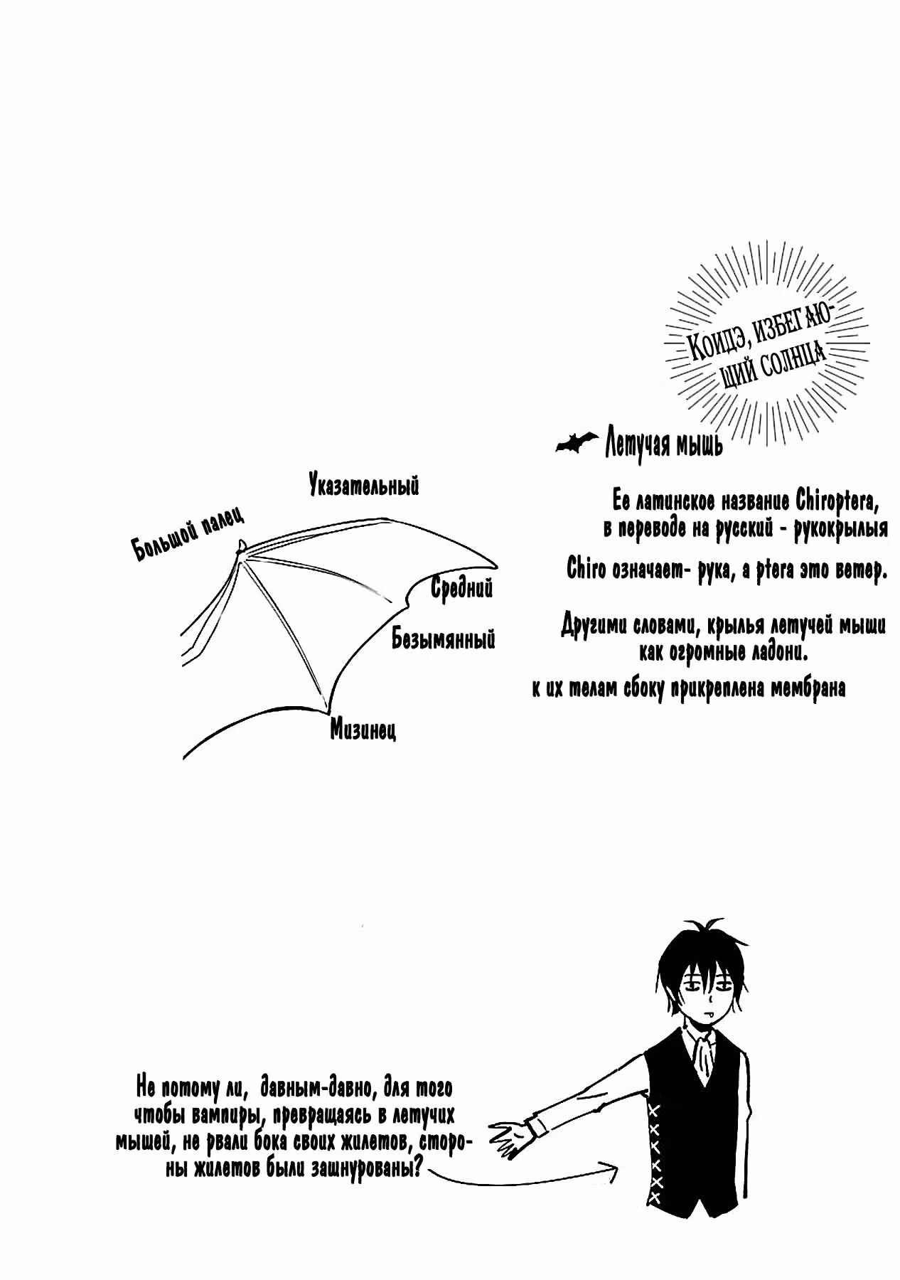Коидэ, избегающий солнца — Том 1 · Глава 4, страница 22