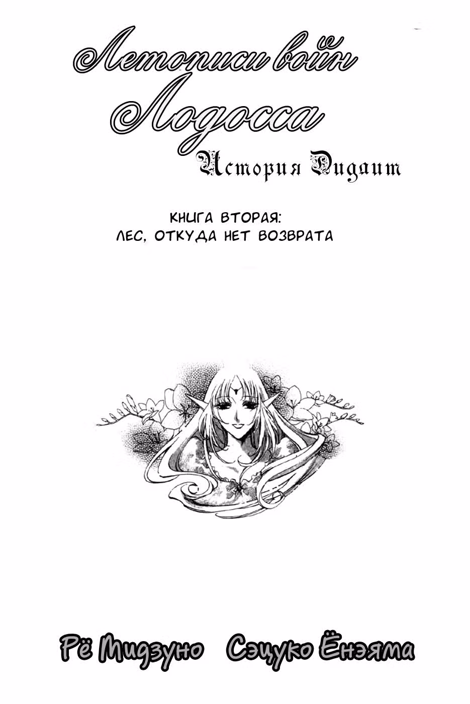 Летопись войн острова Лодосс: История Дидлит — Том 2 · Глава 8, страница 2