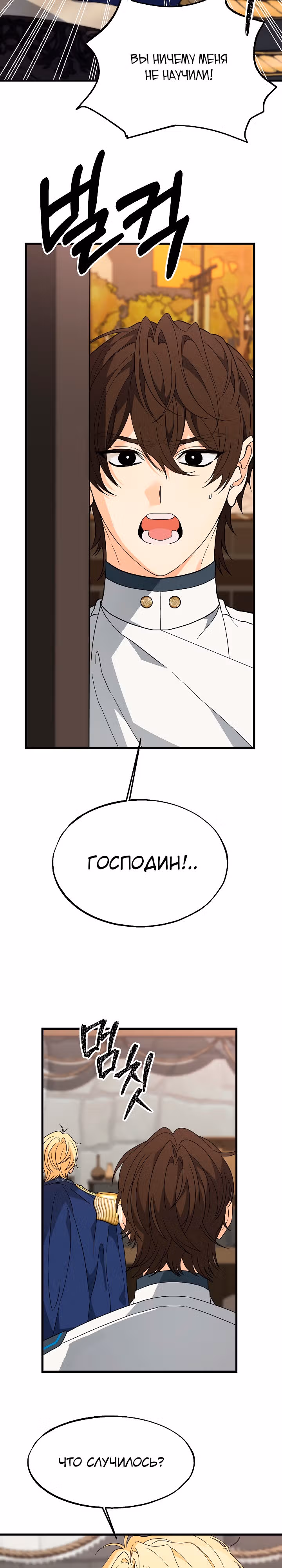 Брошенная фальшивка — Том 1 · Глава 29, страница 17