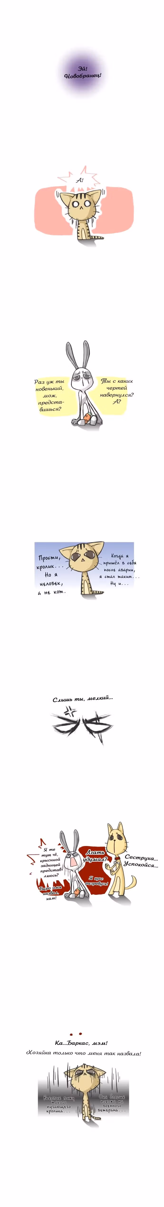 Кошачьи будни — Том 1 · Глава 4, страница 2