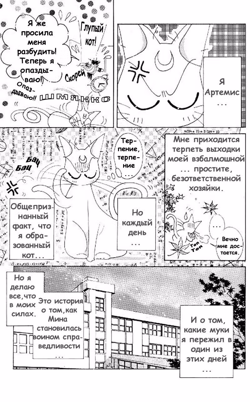 Кодовое имя - Сейлор Ви — Том 3 · Глава 11, страница 6