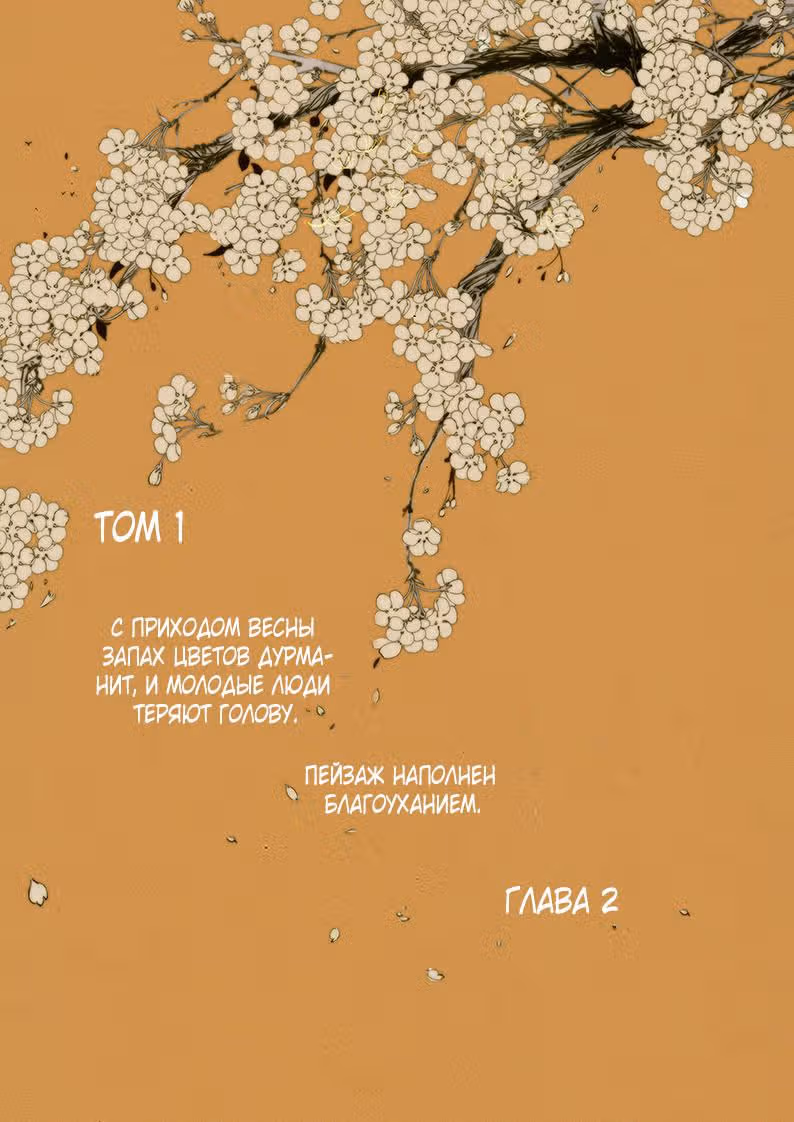 Пленённый феникс — Том 1 · Глава 3, страница 3