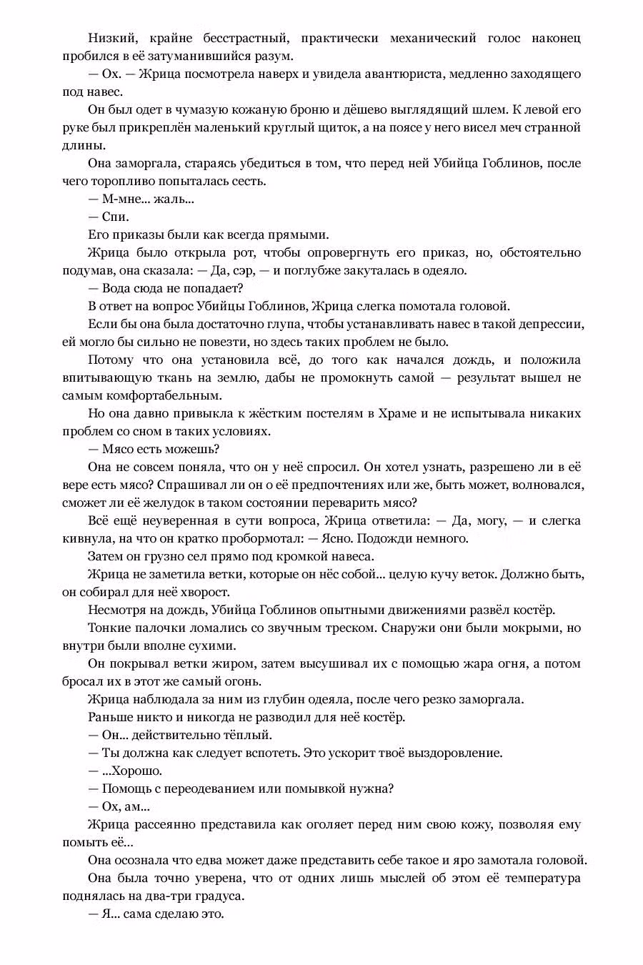 Убийца Гоблинов — Том 1 · Глава 4.5, страница 4