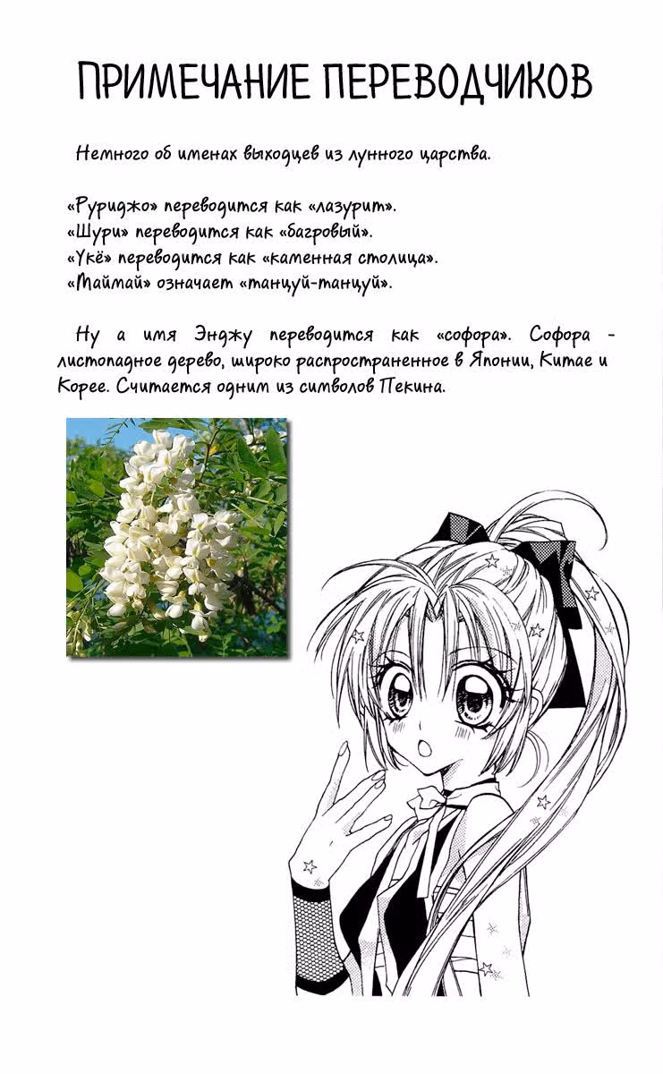 Легенда о Принцессе Сакуре — Том 3 · Глава 11, страница 39