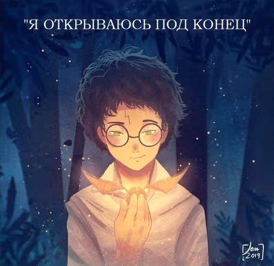 Ты волшебник Гарри — Том 1 · Глава 1, страница 13