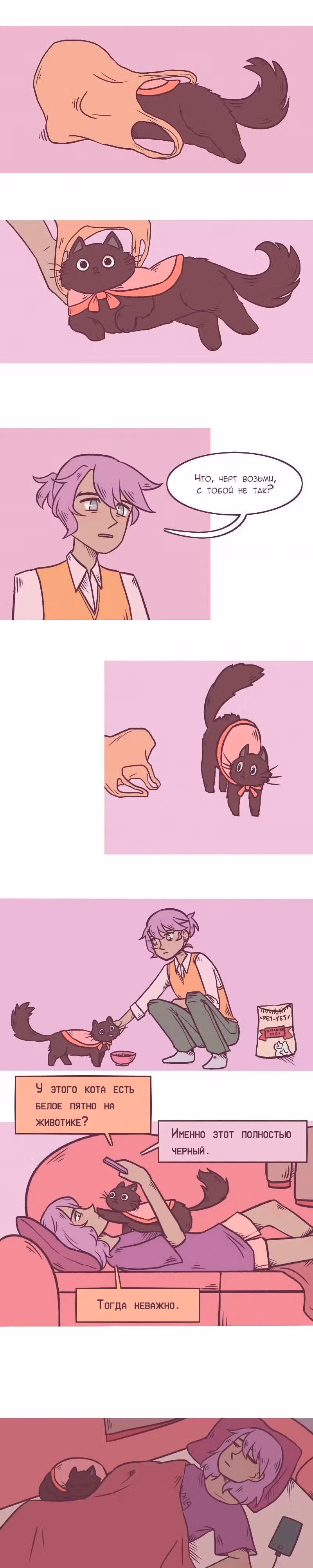 Даже не мой кот — Том 1 · Глава 2, страница 5