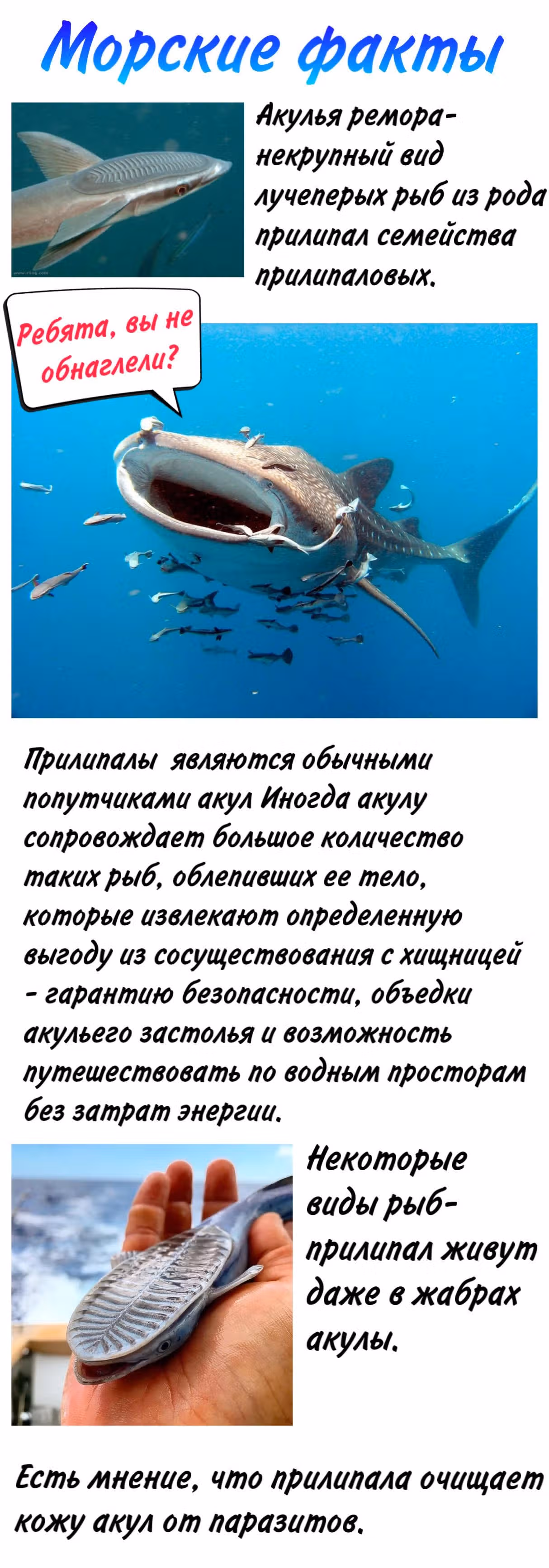 По ту сторону аквариума — Том 1 · Глава 3, страница 3