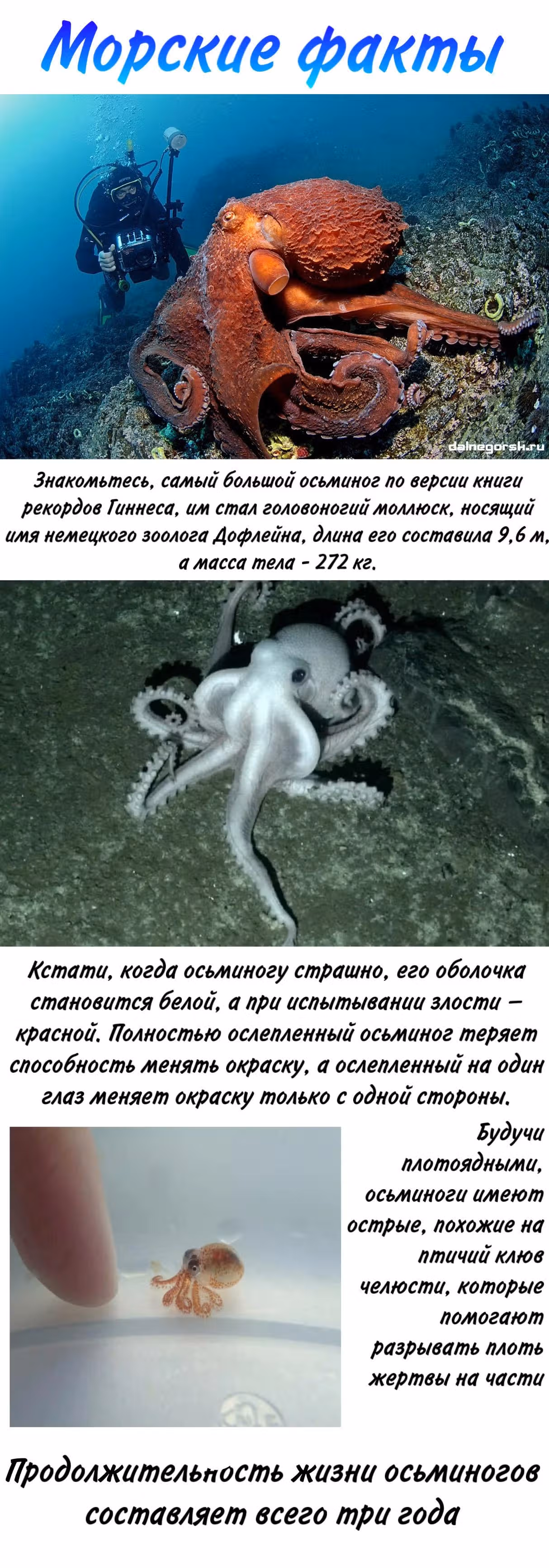 По ту сторону аквариума — Том 1 · Глава 4, страница 4