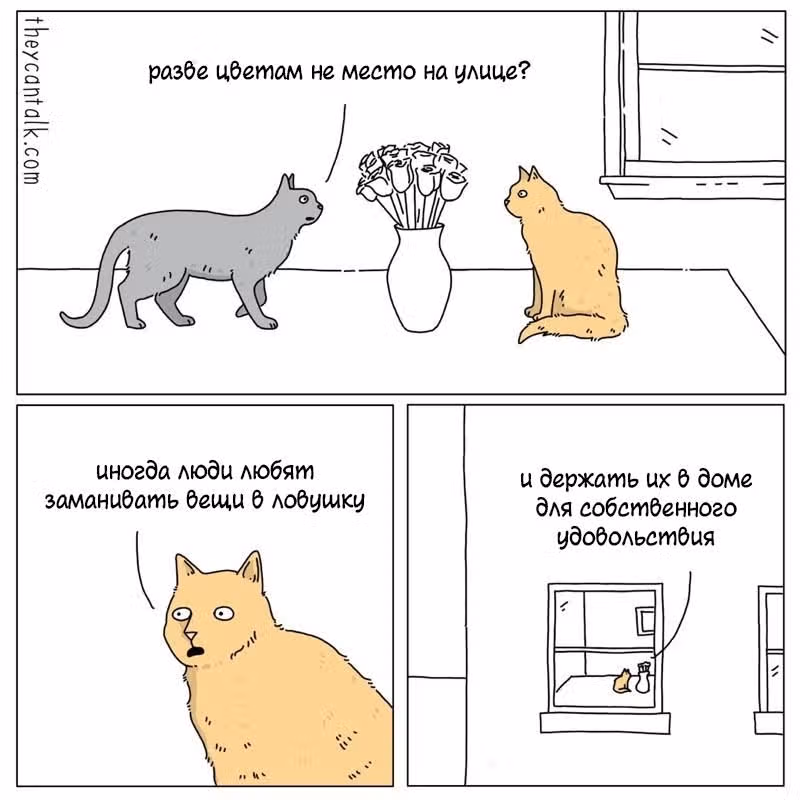 Они могут говорить — Том 1 · Глава 248, страница 1