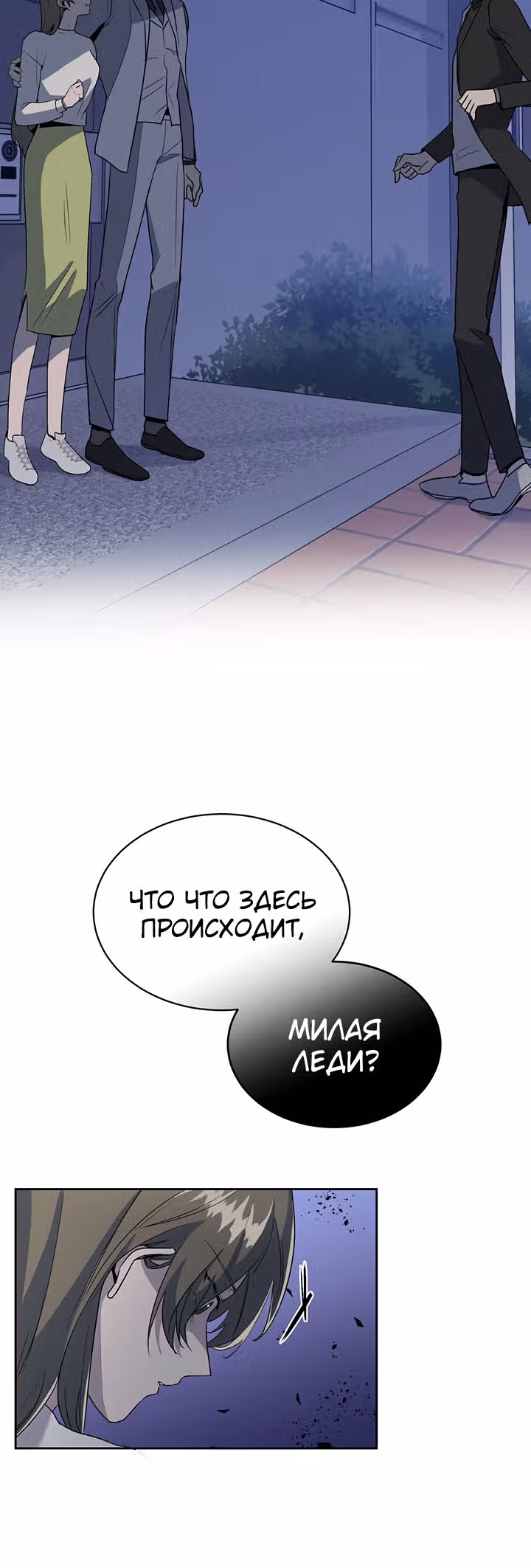 Как пожелает леди — Том 1 · Глава 9, страница 13