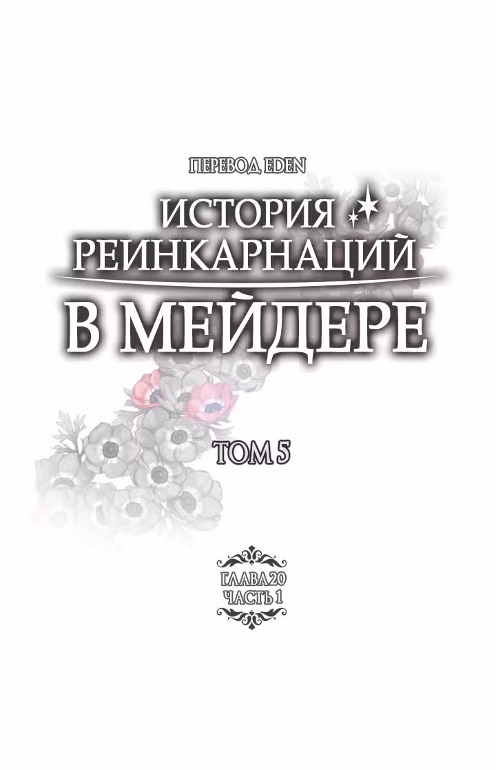 История реинкарнаций в Мейдере — Том 5 · Глава 20.1, страница 2