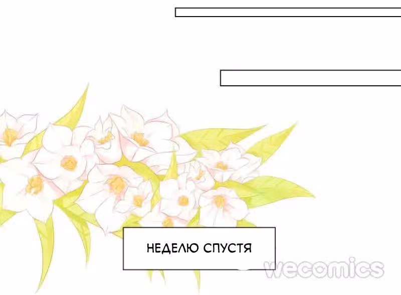 Как принцесса стала королевой — Том 1 · Глава 4, страница 20
