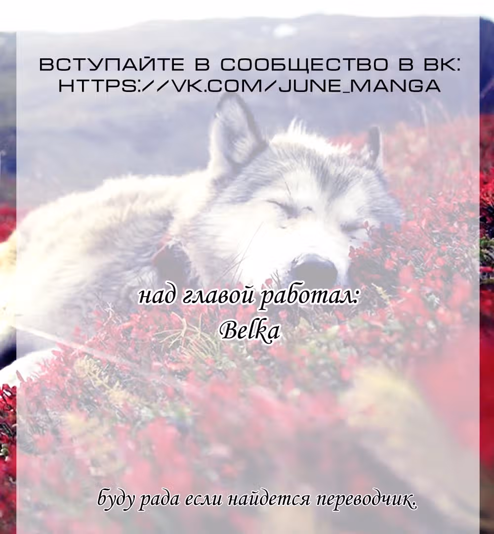 Инугами — Том 5 · Глава 24, страница 41