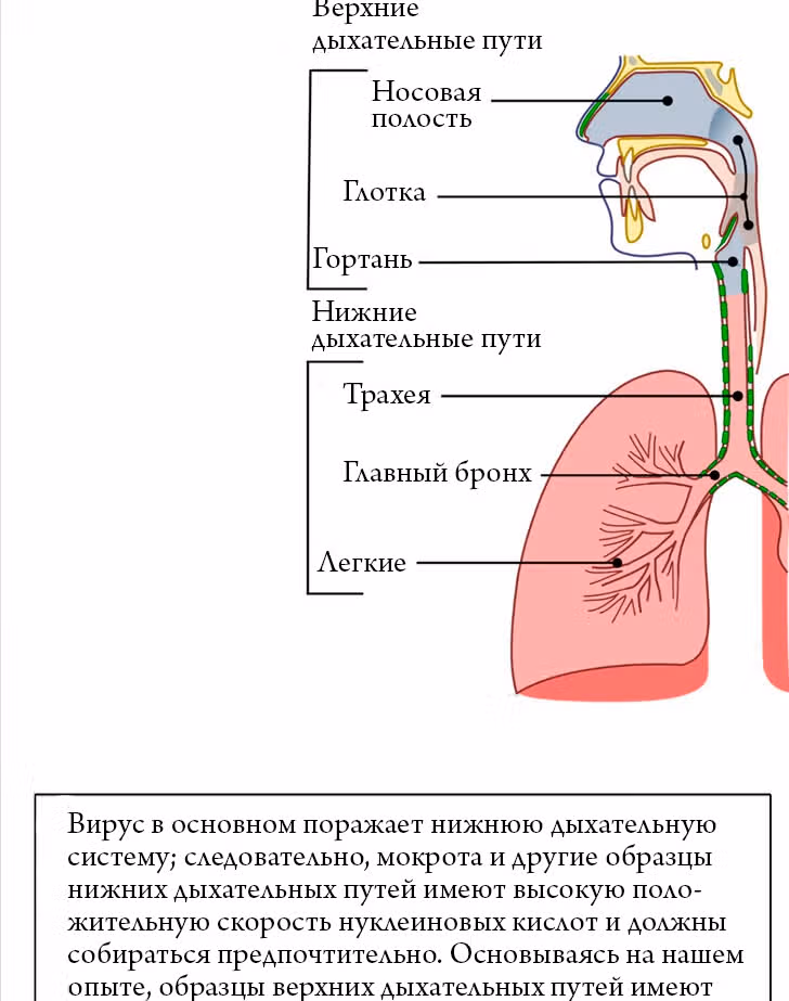 Общий мир, общая битва! — Том 1 · Глава 2, страница 52