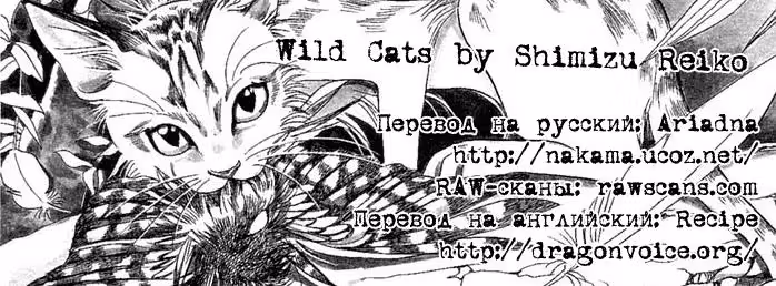 Дикие кошки — Том 1 · Глава 2, страница 75