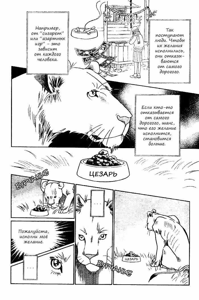 Дикие кошки — Том 1 · Глава 3, страница 48