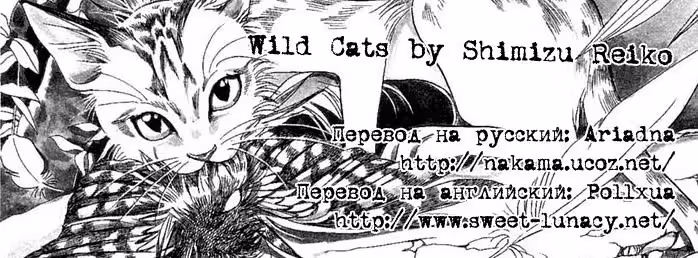 Дикие кошки — Том 1 · Глава 3, страница 73