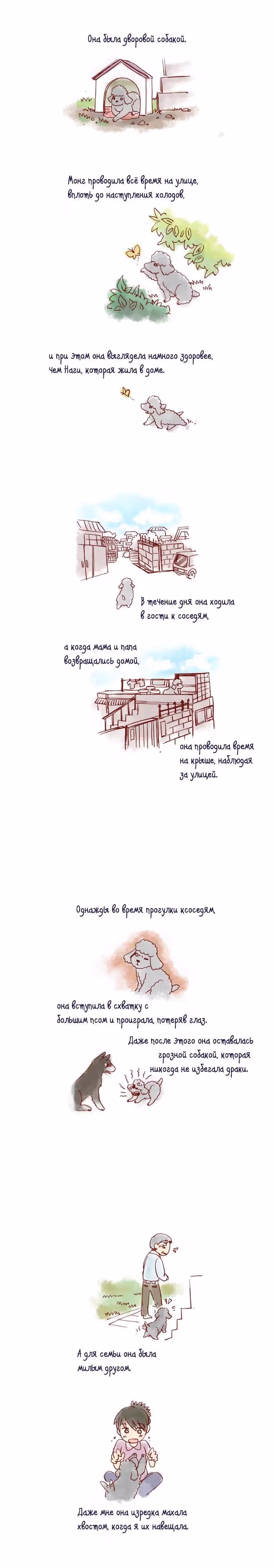 Моя молодая кошка, моя старая собака — Том 1 · Глава 152, страница 4